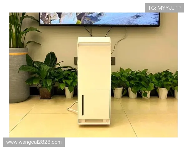 全面解析乐通LT118:性能特点与使用指南 全面解析乐通LT118:性能特点与使用指南